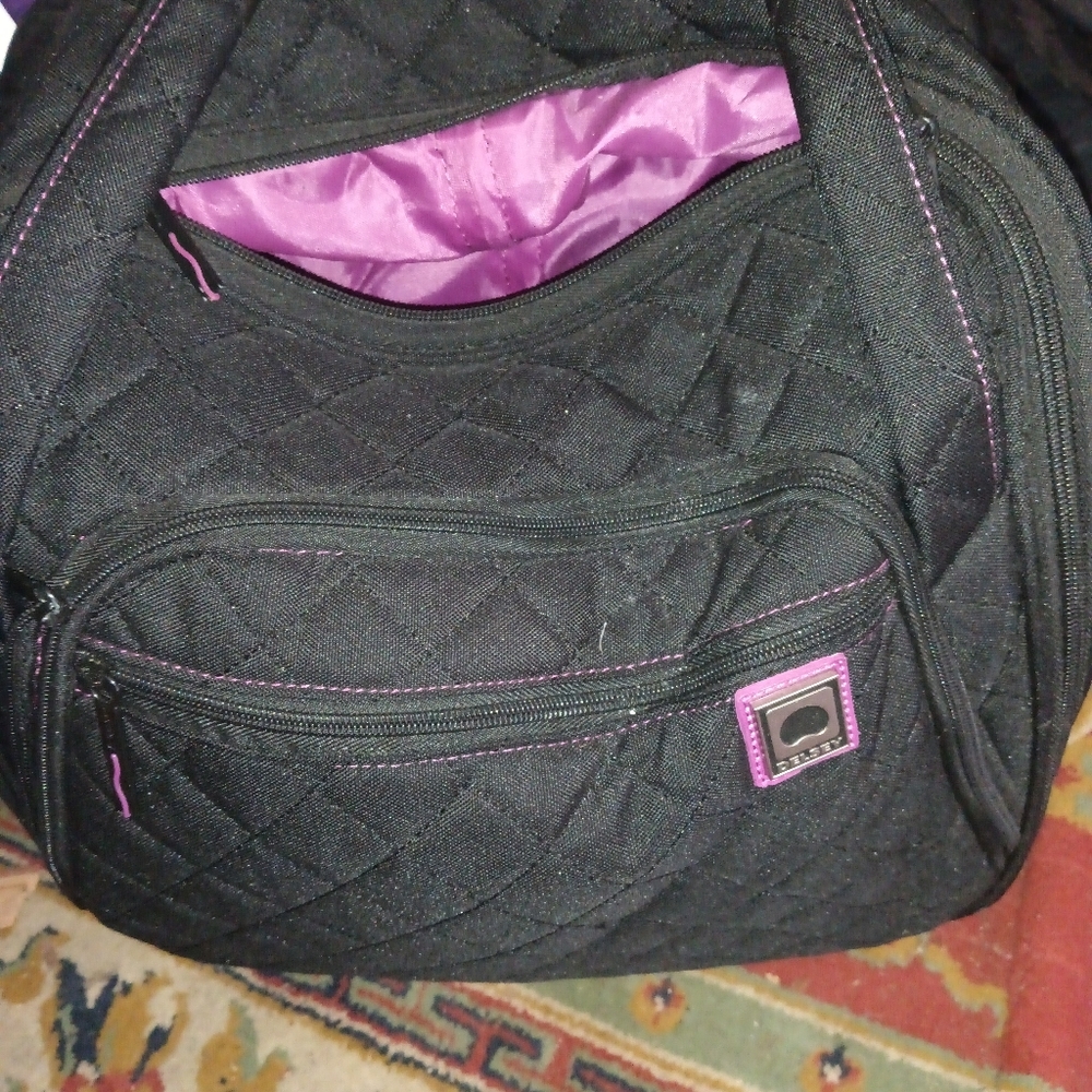 Delsey Paris light tote
